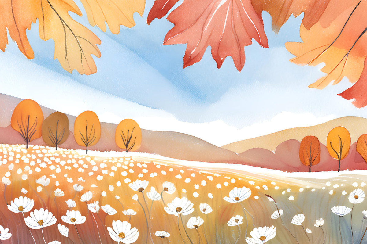 Fall color in the trees and meadows with abundant white cosmos.